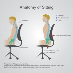 Ergonomic Seating for Spine Health Benefits